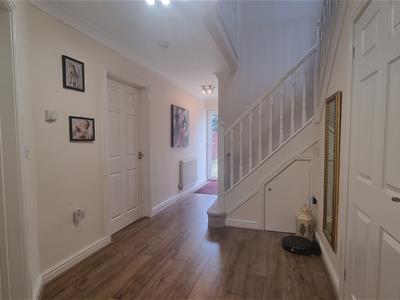 Picture 11